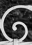 Wall_Art_Alphabet_Photography_Art_ 696